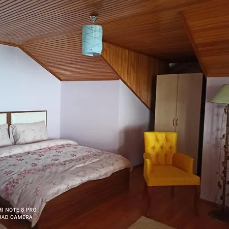 Manzarali Havuzlu Villa Trabzon