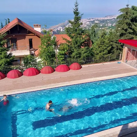 Manzarali Havuzlu Villa