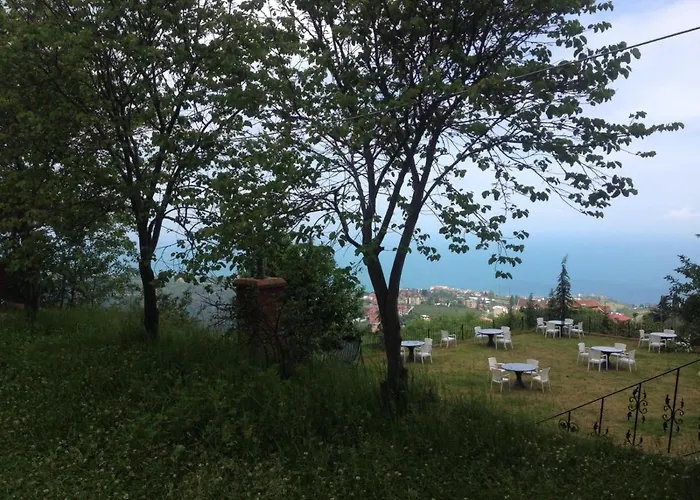 Manzarali Havuzlu Villa Trabzon