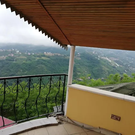 Manzarali Havuzlu Villa *